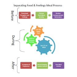 Handout From Eating Disorders Boot Camp: Separating Food & Feelings Meal Process